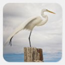 Search for florida beach stickers Usa