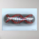 Recherche de image couleur posters Paysage