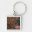 Search for two fish keychains Horizontal