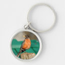 Search for red robin keychains Wildlife