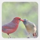 Search for backyard bird stickers Birder