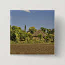 Search for roof buttons House