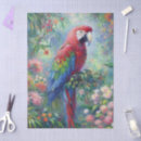 Search for parrot tissue paper Jungle
