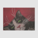 Recherche de chat assez blanc Chats