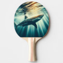 Recherche de requins raquettes ping pong Océan