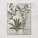 Recherche de testard cartes postales Herbe