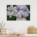 Recherche de roses blancs posters Jardin