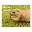 Search for groundhog calendars Rodents