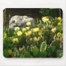 Search for prickly pear mousepads Cactus