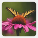 Search for tiger swallowtail butterfly stickers Yellow