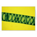 Recherche de science naturelle cartes postales Biologie