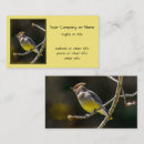 Search for cedar Waxwing