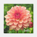 Search for coral photography Flower