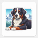 Search for bernese mountain dog lovers stickers Pet