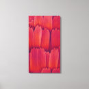 Search for bright animal art Butterfly