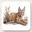 Search for ai barware Wildlife