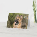 Search for deutscher cards Alsatian
