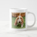 Search for bassets mugs Cute pets