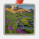 Search for mt rainier ornaments Washington state
