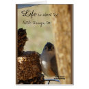 Recherche de mésange cartes postales Faune