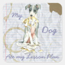 Search for italian greyhound stickers Piccolo levriero italiano