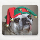 Search for dog with stick electronics Pets