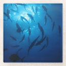 Recherche de poisson soleil dessous de verres Pour tous