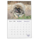 Search for rescue calendars Animals