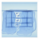 Search for window posters Blue