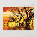 Search for tangle postcards Tree