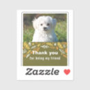 Recherche de chiot autocollants Chien drôle