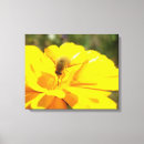 Recherche de mouche impressions sur toile Fleurs