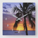 Search for tropical palm trees clocks Sunset