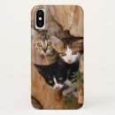 Recherche de chat curieux iphone coques Drôle