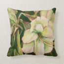 Recherche de amaryllis coussins Vert