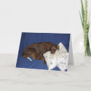 Search for labrador get well soon Illness