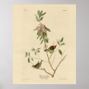 Search for calendula posters Illustration