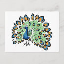 Search for tail feather postcards Peafowl