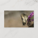 Recherche de papillon de machaon cartes visite Jaune