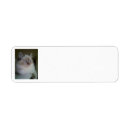 Search for ragdoll cat return address labels Himalayan
