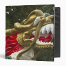 Search for chinese binders Asian