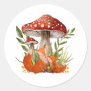 Recherche de rouge renard autocollants Faune