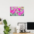 Recherche de tulipe posters Mur