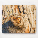 Search for screech mousepads Eastern screech owl