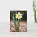 Search for daffodil cards Flowers