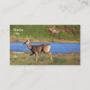 Search for whitetail deer business cards Nature