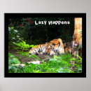 Recherche de tigre drôle posters Animaux