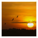 Recherche de grue posters Nature