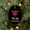 Search for consolation ornaments Computer
