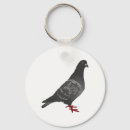 Search for pigeon keychains Nature